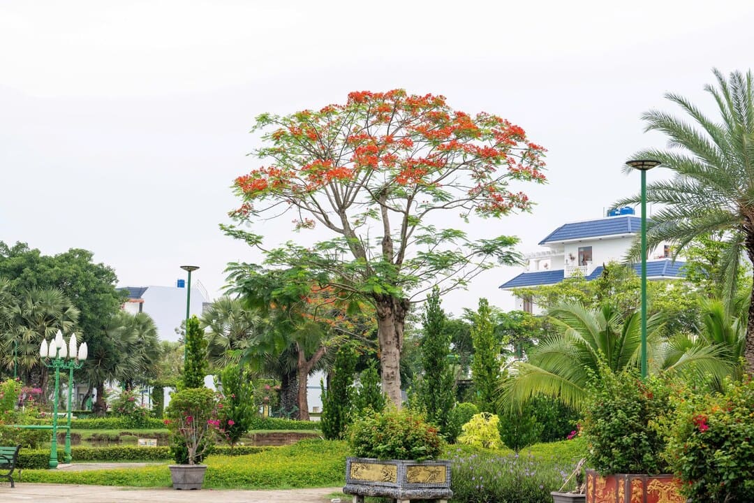 Cư dân tận hưởng không gian sống sinh thái lý tưởng ngập tràn sắc hoa tại Five Star Eco City