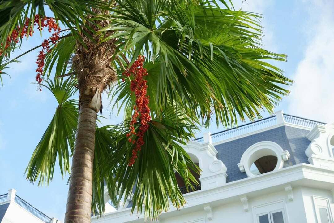 Góc không gian xanh yên bình và hiện đại tại phân khu The Royal