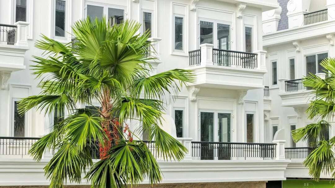 Hệ sinh thái cây xanh tươi tốt tại đại đô thị Five Star Eco City