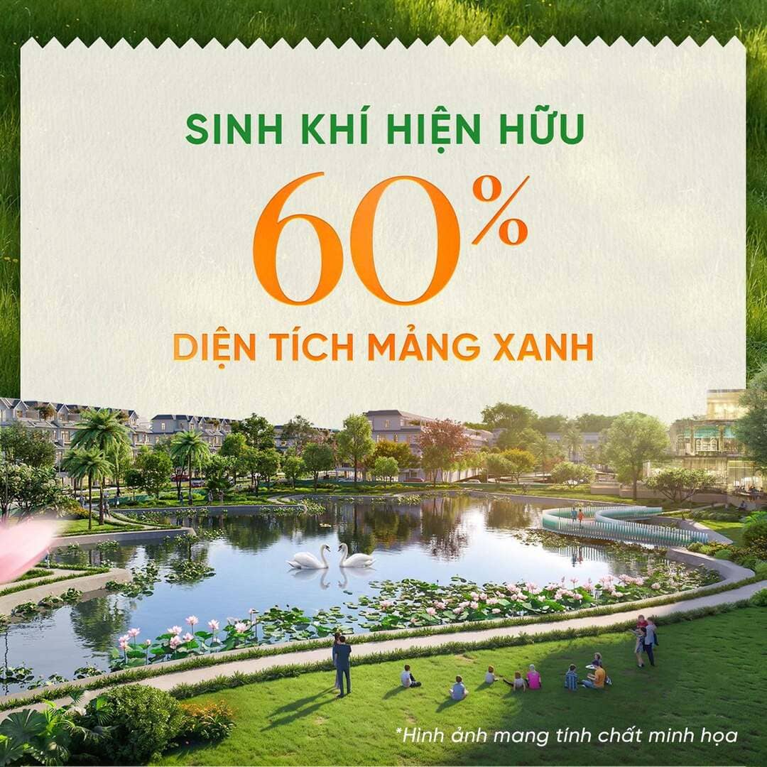 Sơ đồ quy hoạch mặt bằng phân khu với thiết kế phong cách hoàng gia hiện đại
